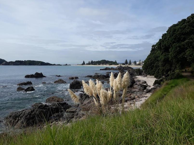 Downtown Mount B And B Mount Maunganui Esterno foto